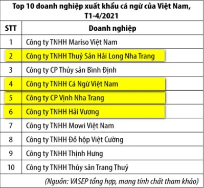 Giải mã Tập đoàn Hải Vương - Đế chế cá ngừ xuất khẩu và cá pelagic lớn nhất Việt Nam - Ảnh 2.