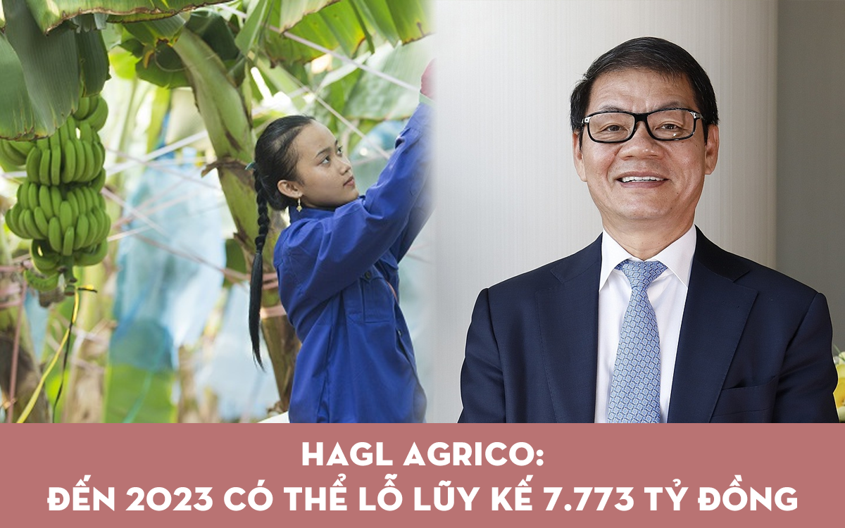 HAGL Agrico lên kế hoạch lỗ hơn 2.700 tỷ đồng năm 2022