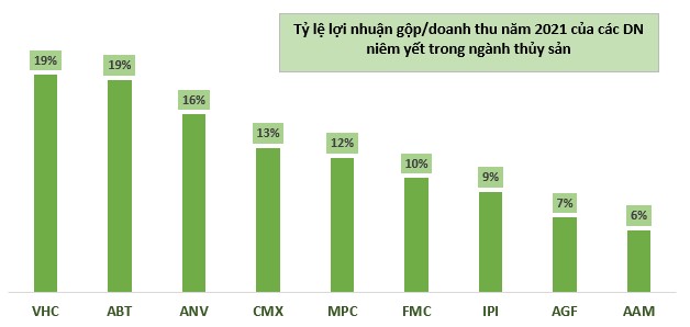 Giải mã Vĩnh Hoàn -  trùm xuất khẩu cá tra của Việt Nam: Từ miếng phi lê cá tới túi collagen và mục tiêu 1 tỷ USD định giá cho Tây Lương Nữ Quốc - Ảnh 7.