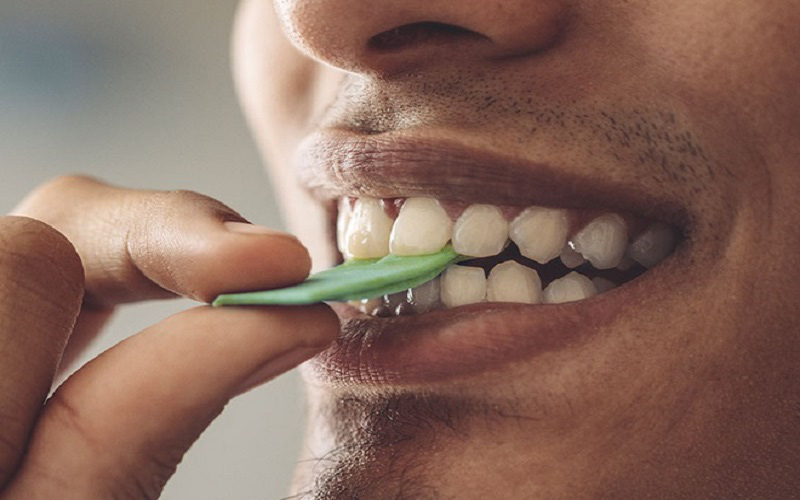 Chỉ cần thực hiện 5K là có thể sống thọ 100 tuổi: Không đánh răng lúc mới ngủ dậy; không tắm khuya và không ăn lẫn trái cây với thực phẩm khác