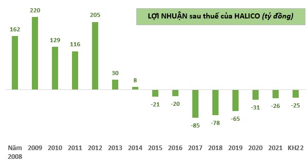 Câu chuyện lợi nhuận buồn sau những chai Vodka Hà Nội, Nếp Mới, Lúa Mới của Halico - Ảnh 2.