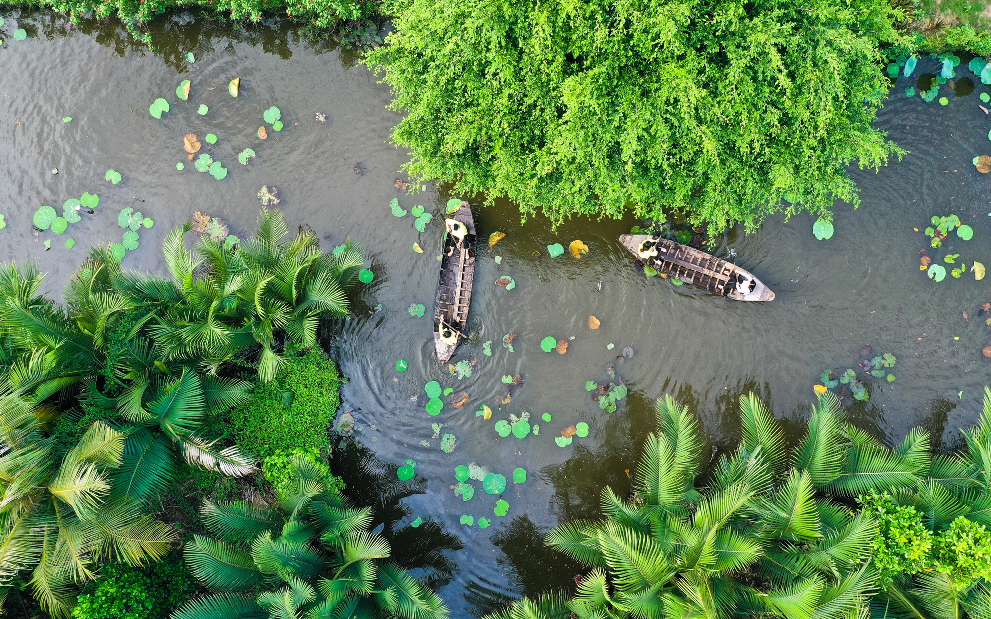 Miền Tây sông nước gói trọn ở Nhà Dì Sáu - khu nghỉ dưỡng sinh thái mướt xanh, bình yên như ở NHÀ