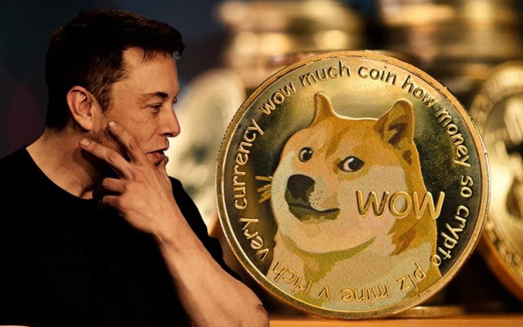 Elon Musk lại ‘lùa gà’, giá Dogecoin bật tăng sau thông tin Tesla và SpaceX chấp nhận thanh toán bằng tiền số