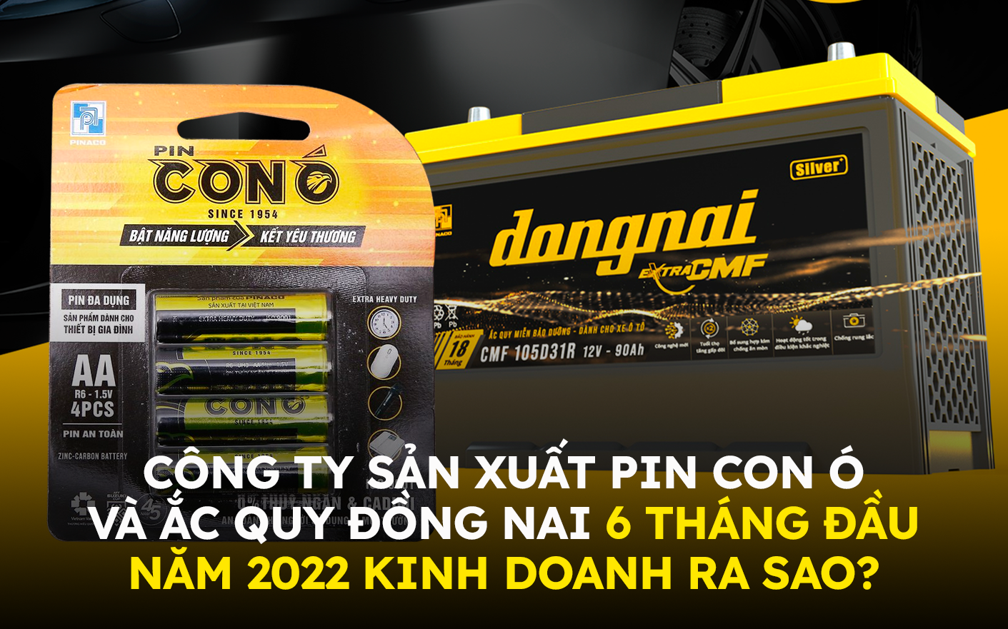 Công ty sản xuất Pin Con Ó và Ắc quy Đồng Nai đang kinh doanh ra sao?