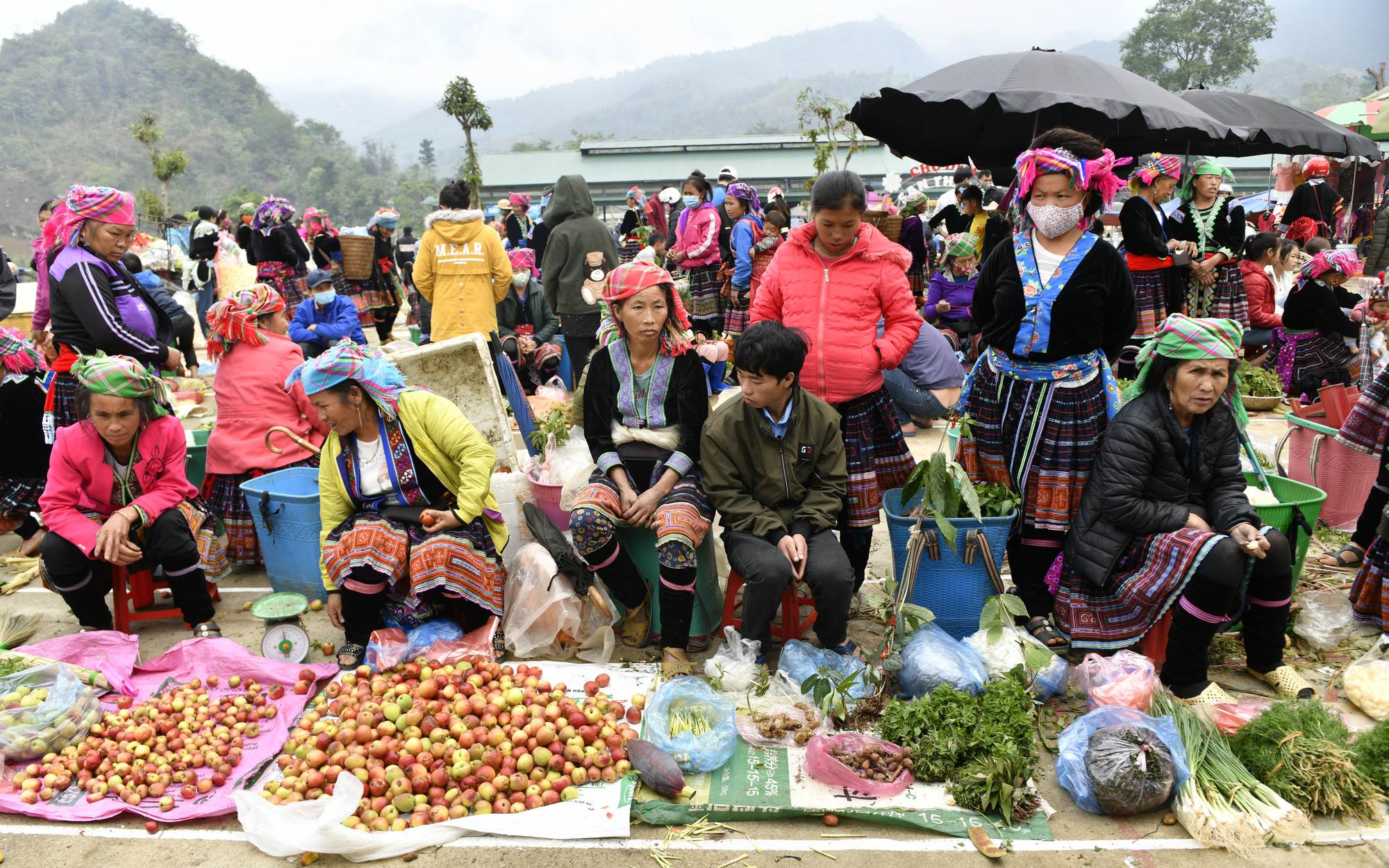 Chàng trai bỏ thành phố, quyết tâm làm giàu nơi vùng cao biên giới