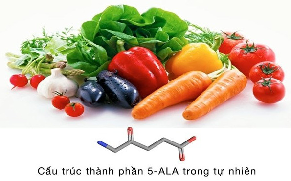 ALA-Bio: Hơn 20 năm nghiên cứu về hỗ trợ điều trị tiểu đường