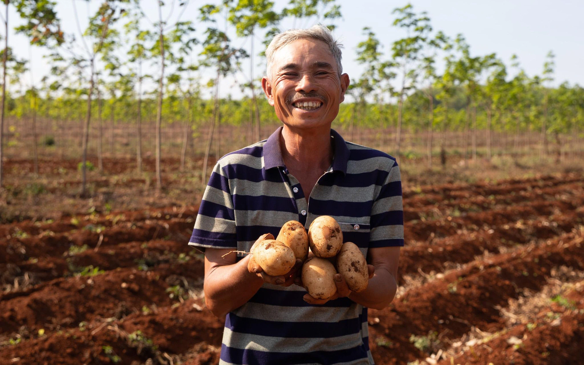 PepsiCo Việt Nam cùng Gia Lai tìm hướng đi mới cho nông nghiệp bằng cây khoai tây
