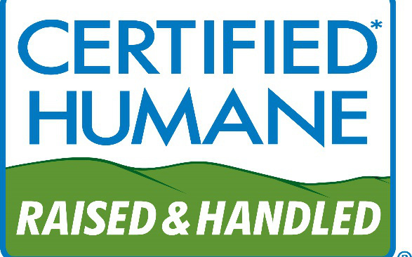 Những quả trứng đầu tiên ở Việt Nam đạt chứng nhận chăn nuôi nhân đạo của Certified Humane®