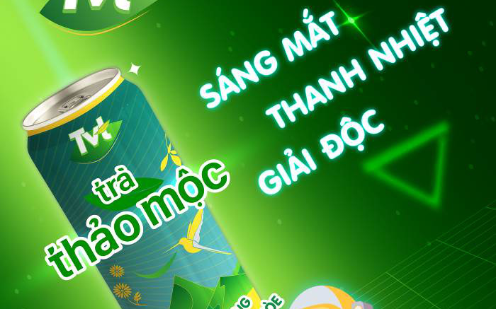 Trà thảo mộc TVT tinh chất hoa hòe: Sáng mắt - Thanh nhiệt - Giải độc