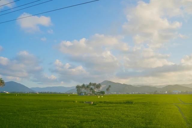 Bị bạo bệnh, cô gái Phú Yên bỏ Sài Gòn về quê làm nông và mở lớp dạy tiếng Anh cho trẻ em - Ảnh 2.
