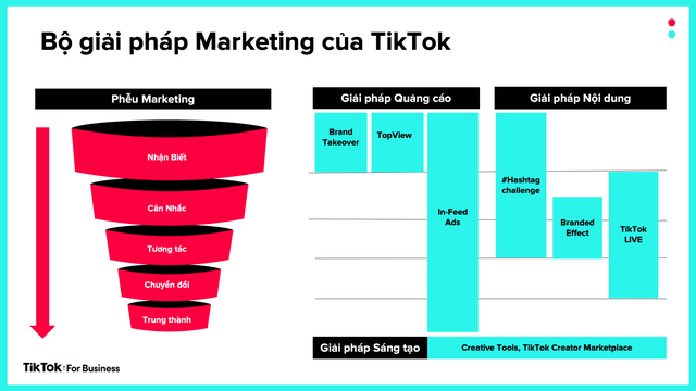Cùng TikTok đón đầu xu hướng quảng cáo Tết với những hiểu biết thú vị về người dùng - Ảnh 1.