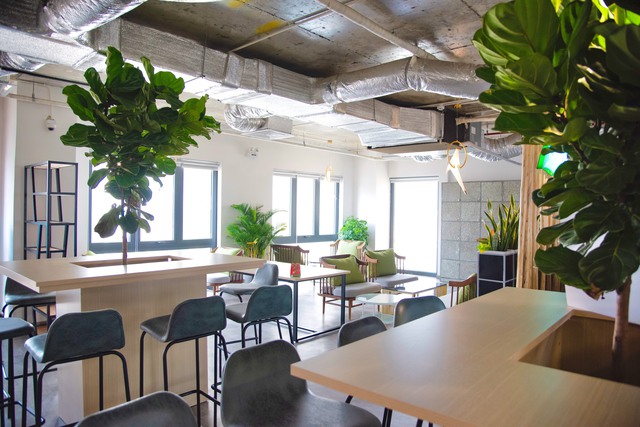 Ngành co-working space Việt Nam tìm hướng đi mới: Tăng cường không gian xanh và cung cấp nhiều dịch vụ hơn ngoài bán chỗ làm việc - Ảnh 9.