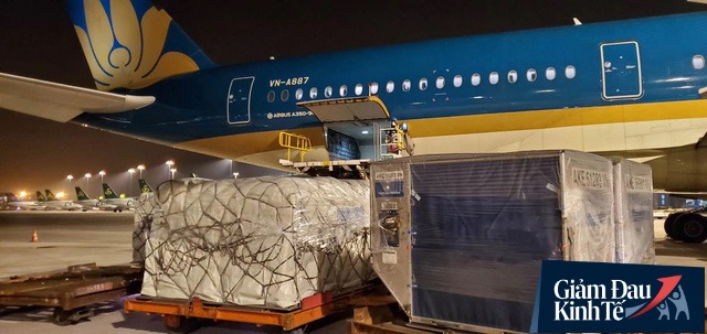 Mất khách vì Covid-19, Vietnam Airlines chuyển sang vận chuyển hàng hoá để vượt qua giai đoạn khó khăn - Ảnh 1.