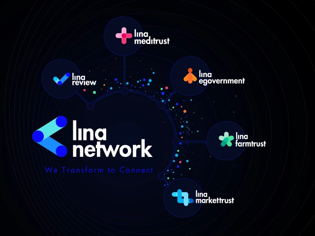 Thay đổi nhận diện, Lina Network khẳng định vị thế trên bản đồ công nghệ Việt - Ảnh 1.