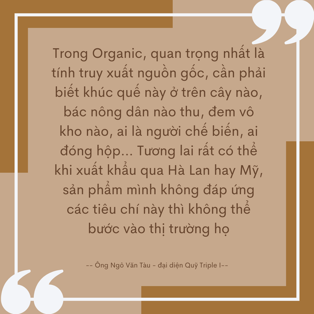 Nhà đầu tư Hà Lan đi cùng với quế, hồi Việt Nam: Chúng tôi tìm Founder có trái tim ấm và không gợn chút Đô la trong đáy mắt! - Ảnh 3.