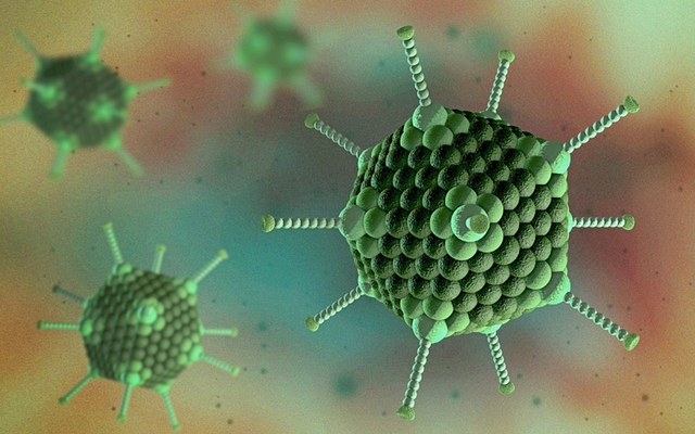 Mỹ và Indonesia xác nhận thêm ca tử vong do viêm gan bí ẩn dù bệnh nhi không có bệnh nền, không có virus: Cảnh báo 5 TRIỆU CHỨNG ở trẻ cha mẹ cần đặc biệt theo dõi - Ảnh 2.