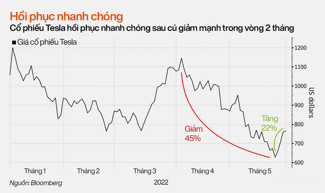Đội quân fan hâm mộ luôn ở bên khi Elon Musk cần: Cổ phiếu giảm là mua vào, kéo lại đà tăng chỉ sau 2 tháng dù trước đó giảm sốc tới 45% - Ảnh 1.