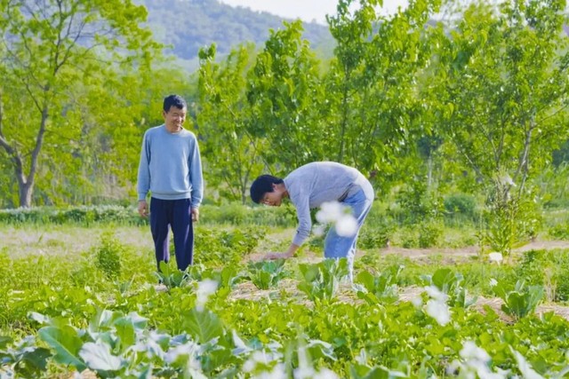 Cựu chiến thần của tập đoàn lớn thứ 5 toàn cầu: Không ham tiền bạc, sớm từ chức về quê, ngày ngày làm nông, thưởng trà bên vợ con - Ảnh 11.