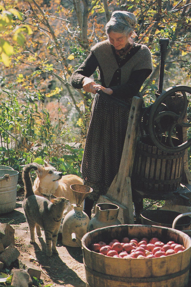 Ở ẩn sau li hôn, nữ hoạ sĩ già sống trong ngôi nhà đẹp như cổ tích, tự tay chăm sóc vườn tược, nuôi dê lấy sữa - Ảnh 10.