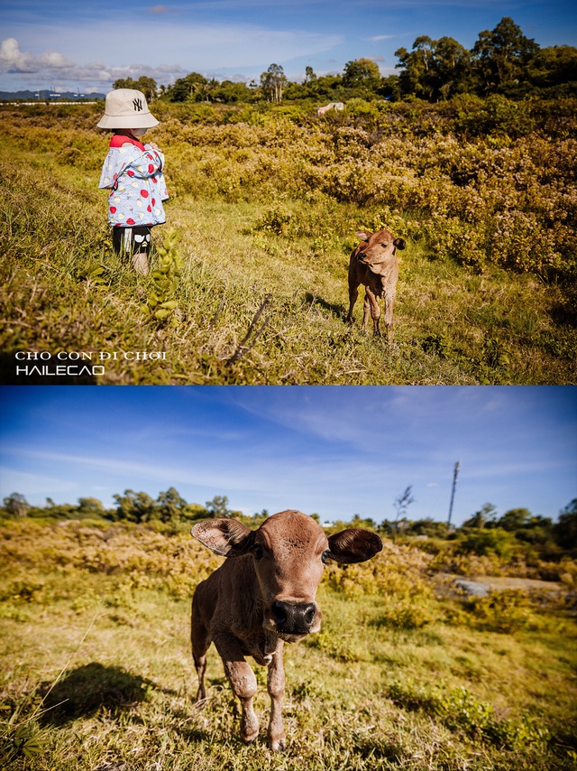 Cậu bé 3 tuổi cùng bố khám phá Cát Bà: 22 tháng tuổi đã trekking, băng rừng, luôn thích thú với những chuyến trải nghiệm - Ảnh 14.