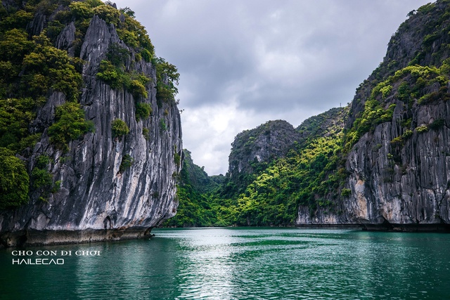 Cậu bé 3 tuổi cùng bố khám phá Cát Bà: 22 tháng tuổi đã trekking, băng rừng, luôn thích thú với những chuyến trải nghiệm - Ảnh 12.