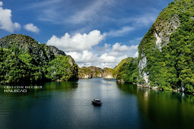 Cậu bé 3 tuổi cùng bố khám phá Cát Bà: 22 tháng tuổi đã trekking, băng rừng, luôn thích thú với những chuyến trải nghiệm - Ảnh 13.