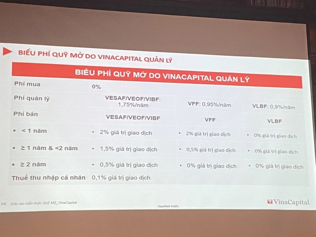 VinaCapital: Trong năm 2021, quỹ mở đầu tư vào cổ phiếu doanh nghiệp vừa và nhỏ có tỷ suất lợi nhuận tốt nhất thị trường lên tới 67% - Ảnh 1.