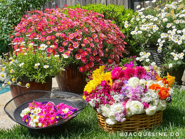 Người phụ nữ Việt ‘cõng giấc mơ hoa’ tự tay dựng nên ‘vườn địa đàng’ đẹp như cổ tích - Ảnh 9.