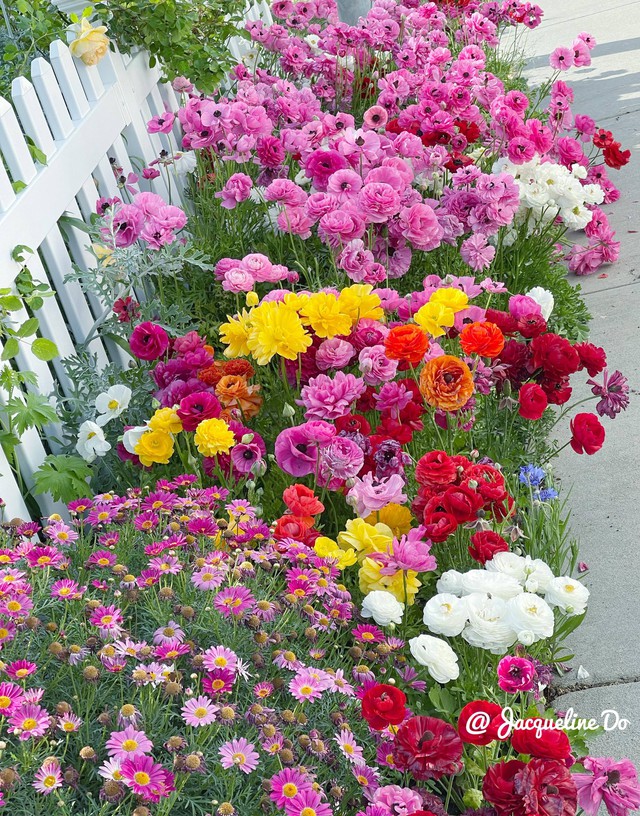 Người phụ nữ Việt ‘cõng giấc mơ hoa’ tự tay dựng nên ‘vườn địa đàng’ đẹp như cổ tích - Ảnh 11.