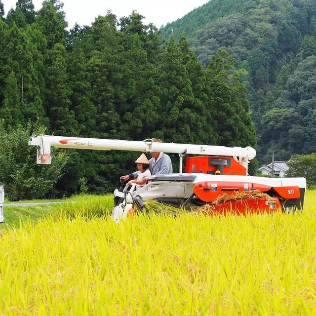 Rời bỏ thành thị náo nhiệt, nữ TVHK về quê, sống đơn giản bên khu vườn nhỏ và cánh đồng cùng chồng con - Ảnh 6.