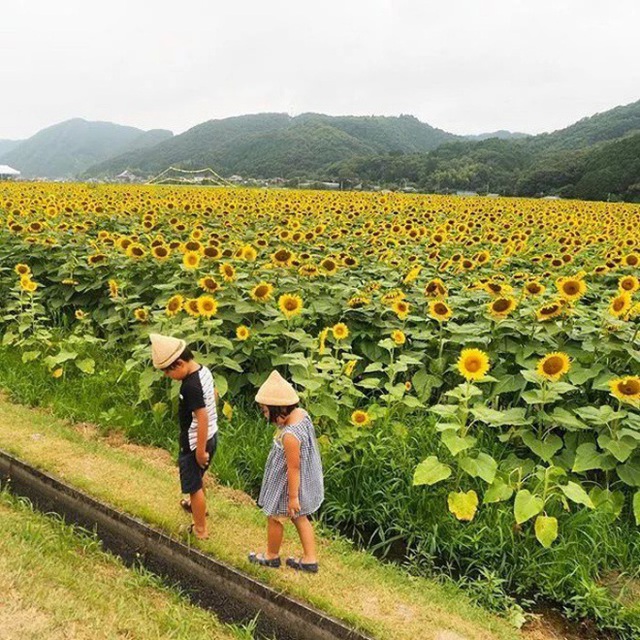 Rời bỏ thành thị náo nhiệt, nữ TVHK về quê, sống đơn giản bên khu vườn nhỏ và cánh đồng cùng chồng con - Ảnh 10.