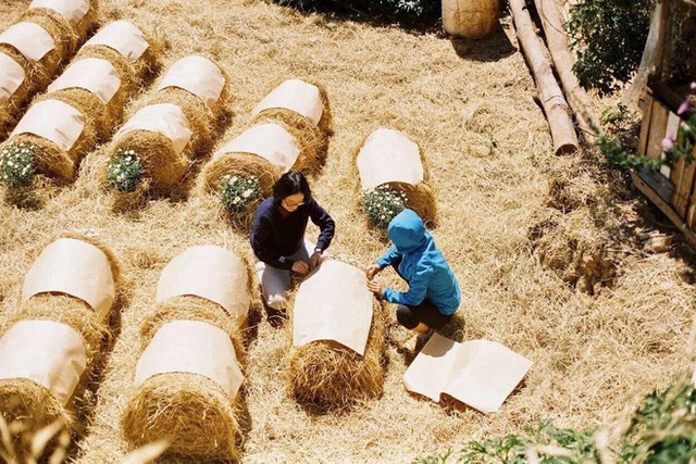 Độc đáo đám cưới tự tay làm hết của cặp đôi sống tối giản Đà Lạt: Cho khách ngồi lên rơm, đến chung vui còn có quà handmade mang về - Ảnh 6.