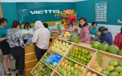 Viettel Post mở cửa hàng bán trái cây ngay tại bưu cục chuyển tỷ lệ kèo nhà cái, cam kết giao hàng chỉ trong 2h